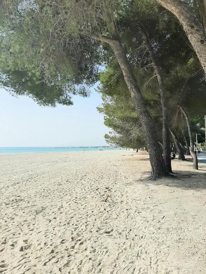 Beach Apartment Minerva Port de Alcudia   Port de Alcudia (Mallorca)