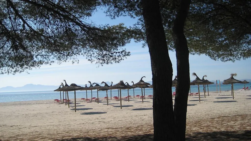 Beach Apartment Minerva Port d'Alcúdia