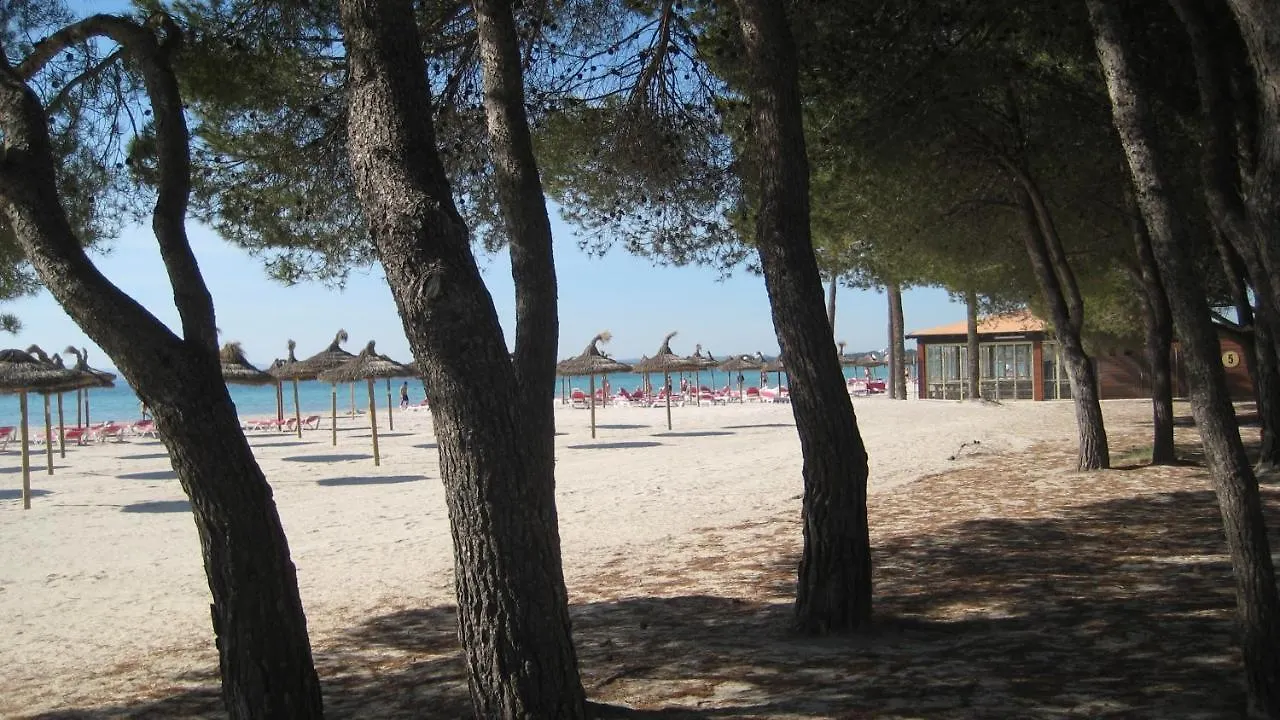 Beach Apartment Minerva Port d'Alcúdia