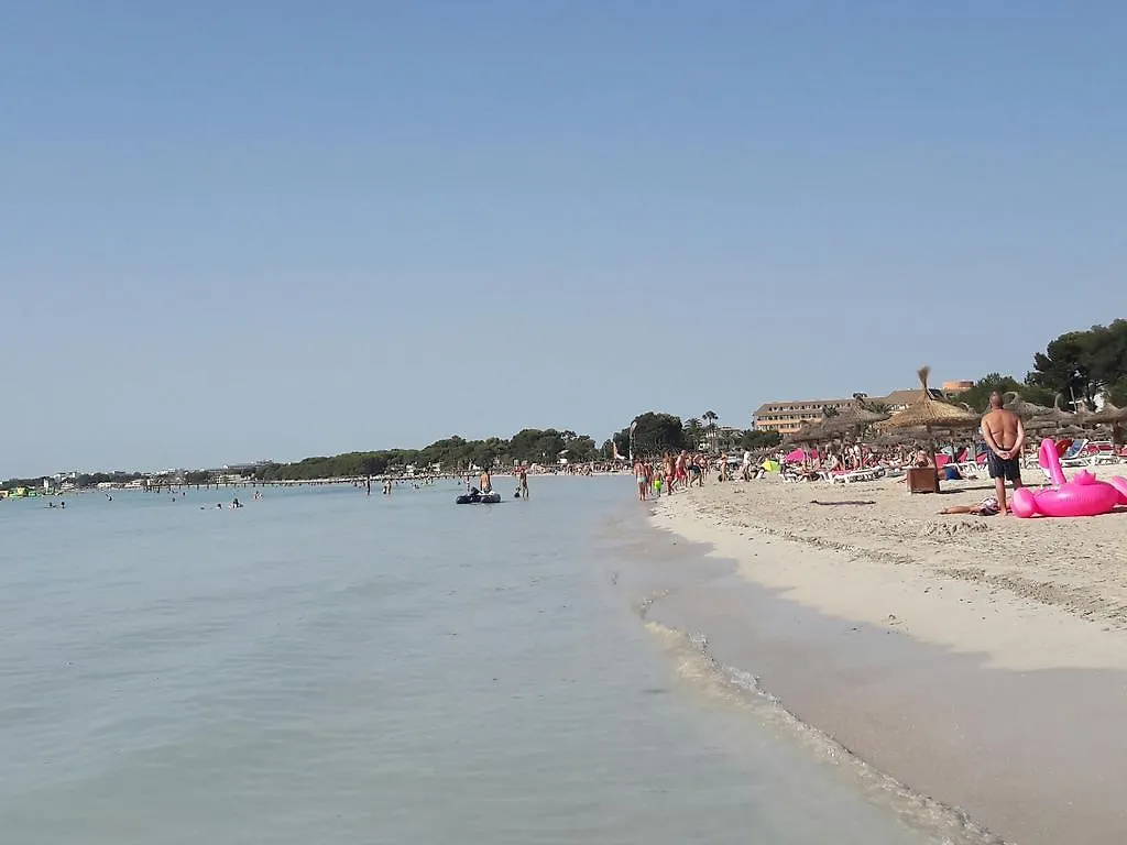 Beach Apartment Minerva 알쿠디아 항구